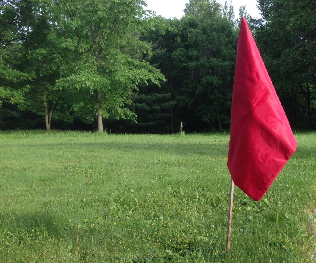 Red flag in real estate
